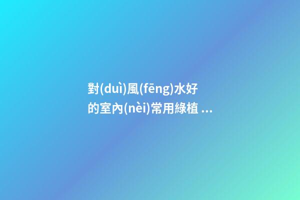 對(duì)風(fēng)水好的室內(nèi)常用綠植 什么植物在室內(nèi)生長很好